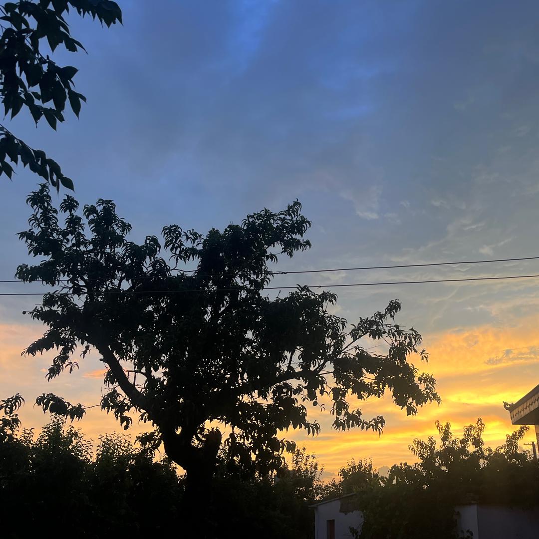 空白