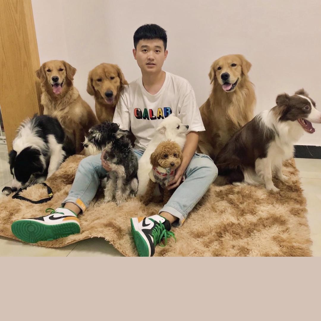 凯哥·V训犬