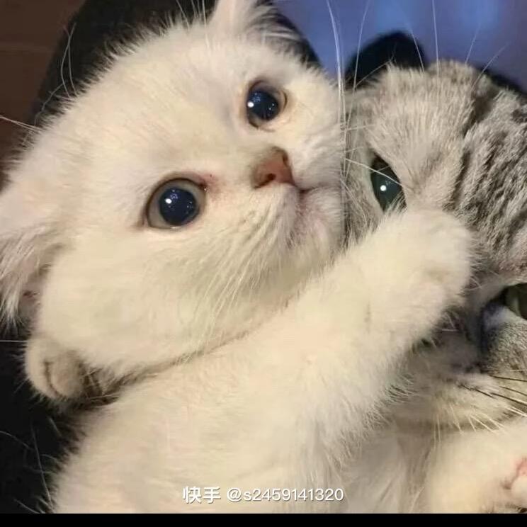 睡个好觉💤
