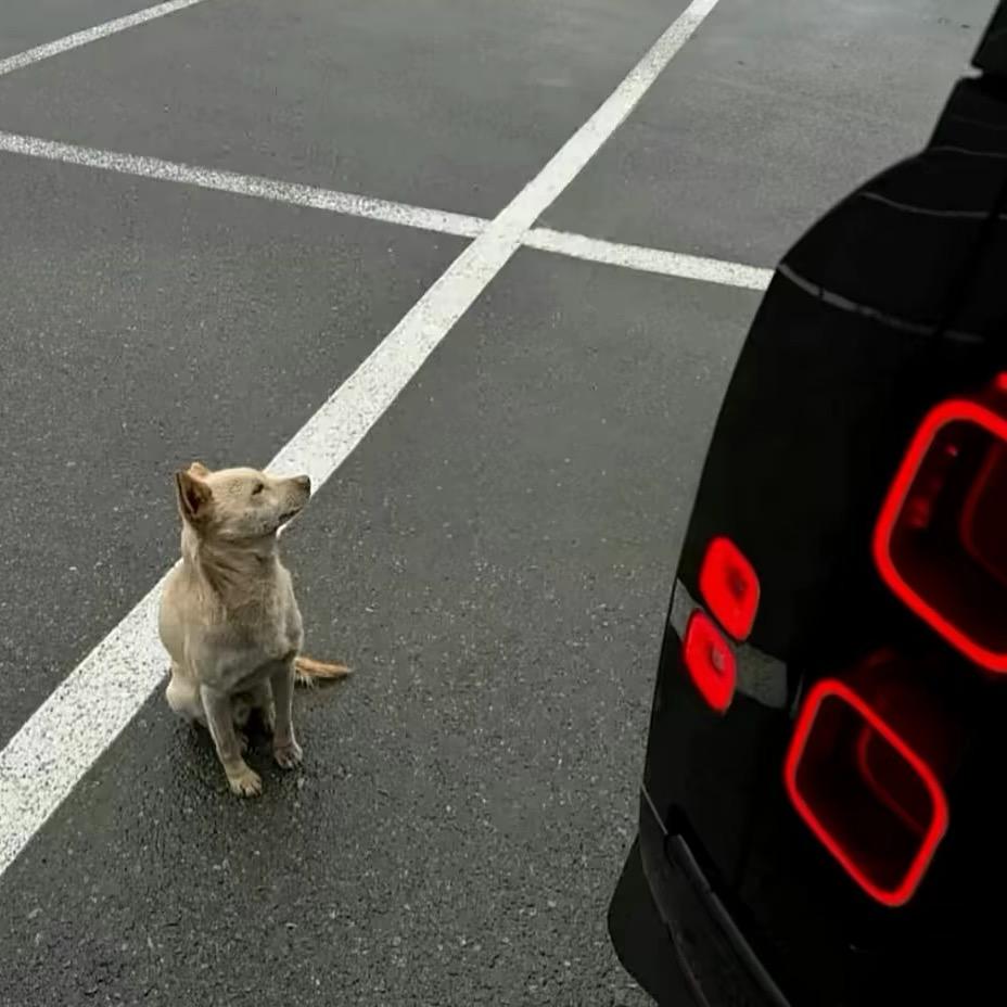 ￴￴￴￴ ￴￴ ￴￴ ￴￴￴