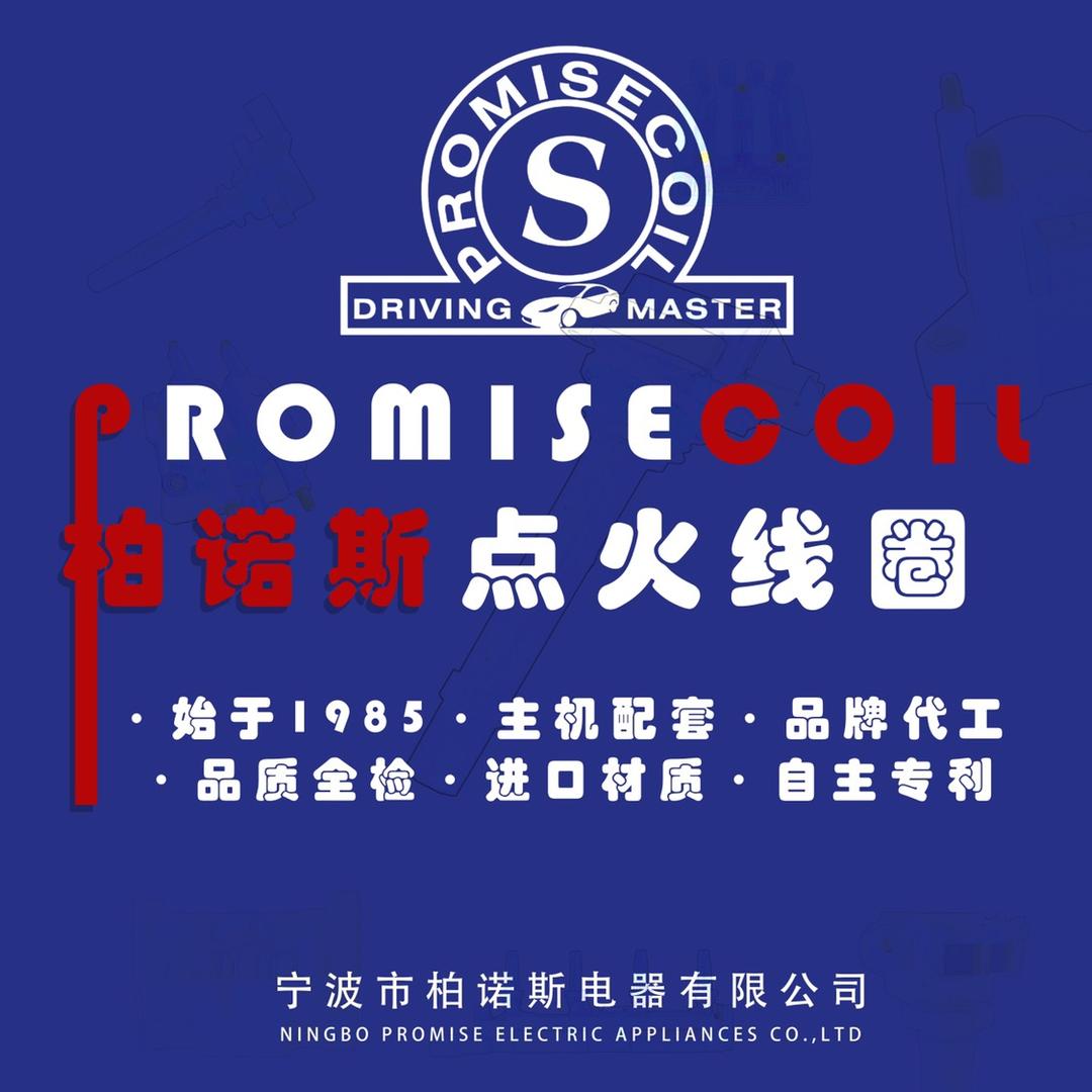 柏诺斯点火线圈