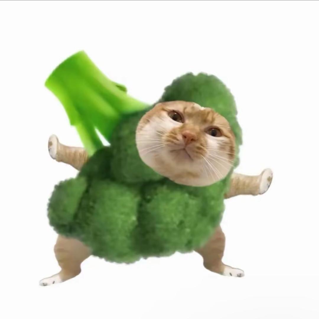 🥦Broccoli
