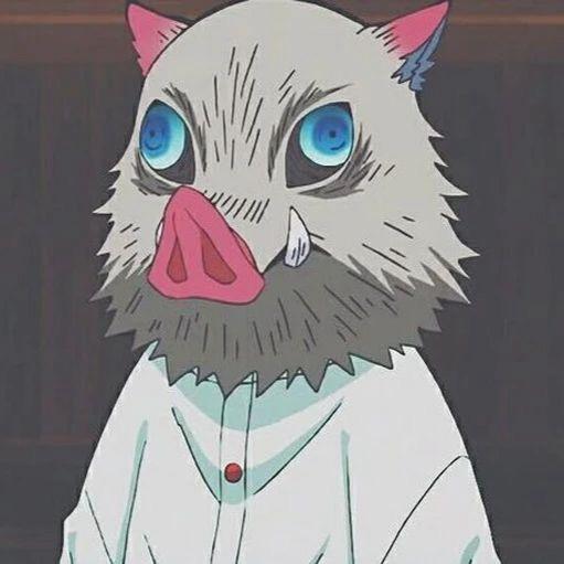 伊之助不是猪