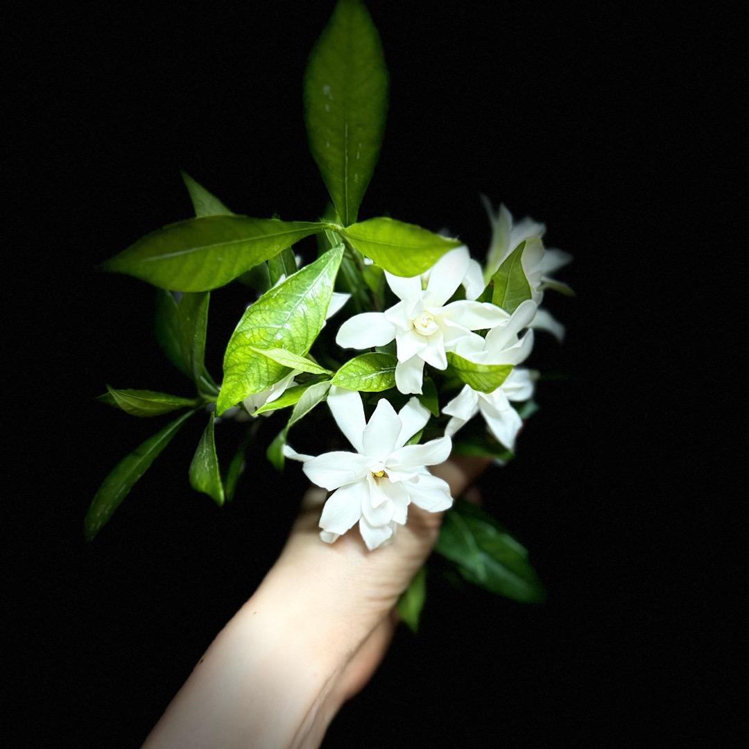 小小小仙女🧚‍♀️