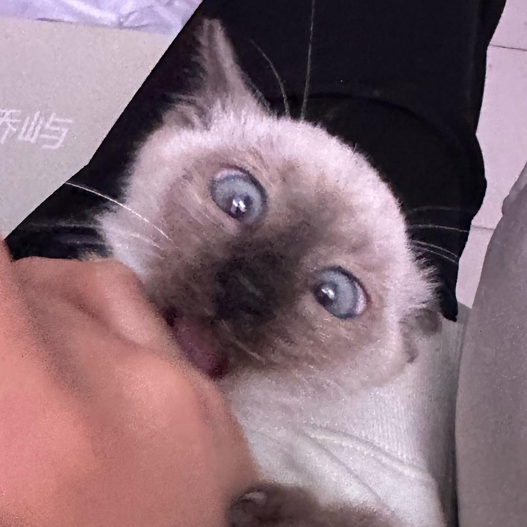 北欧河童