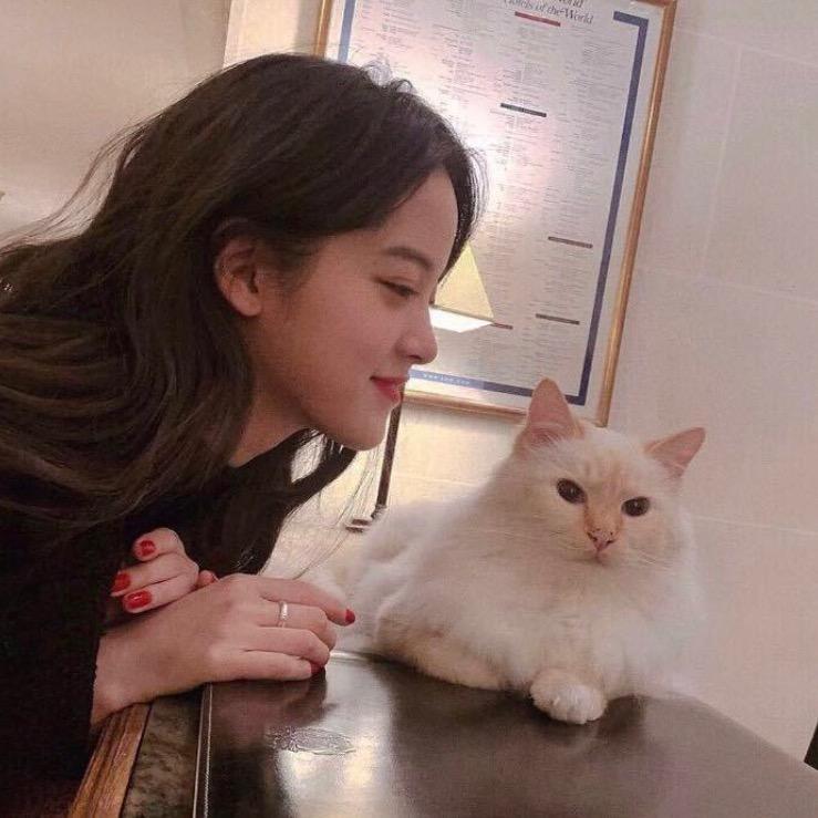 ᴅʀᴇᴀᴍᴇʀᴀ