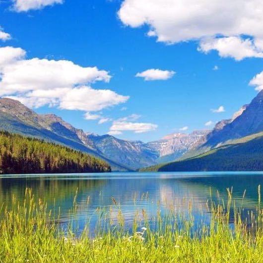 初味缘臻选集合店