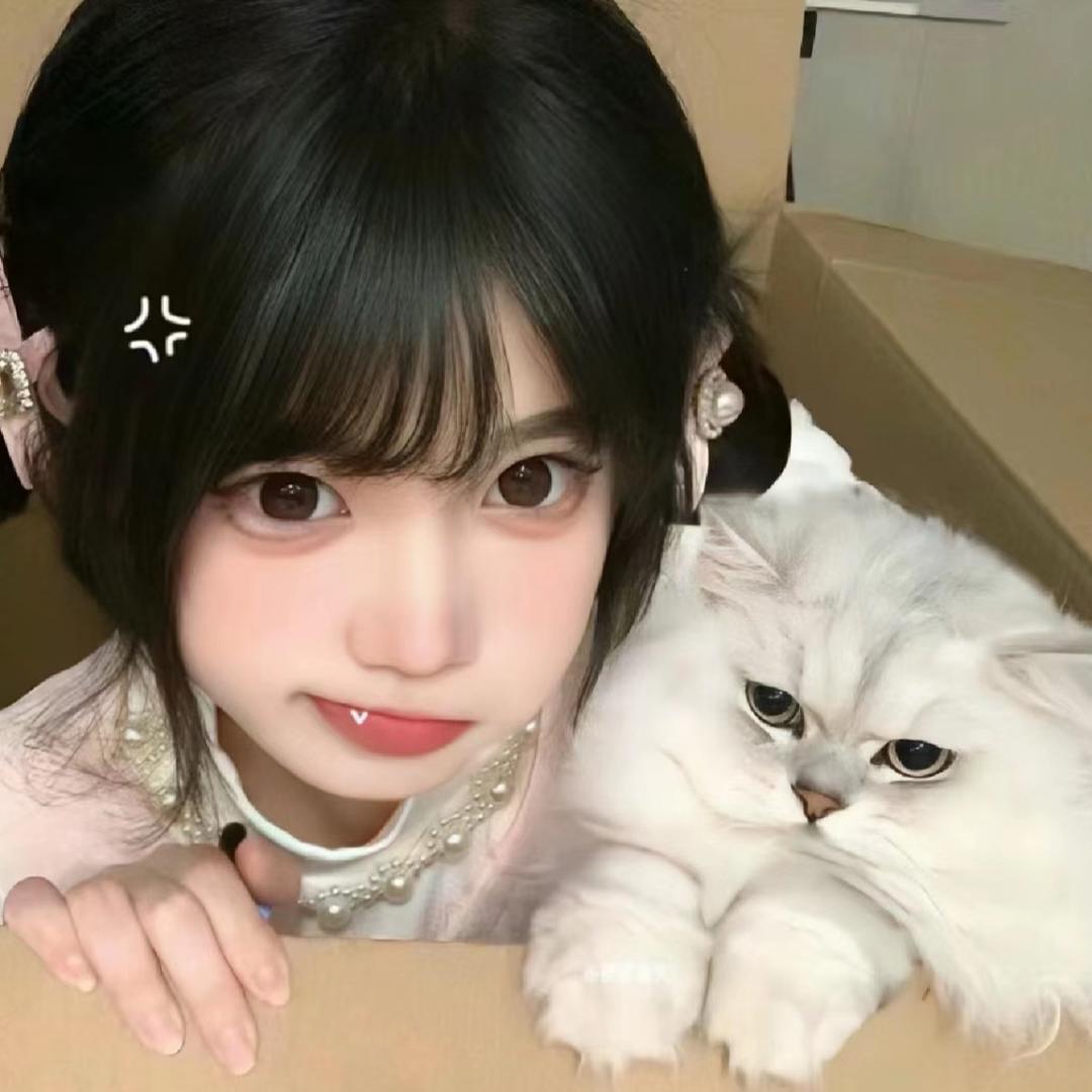 狗蛋（DSN贴心直属）