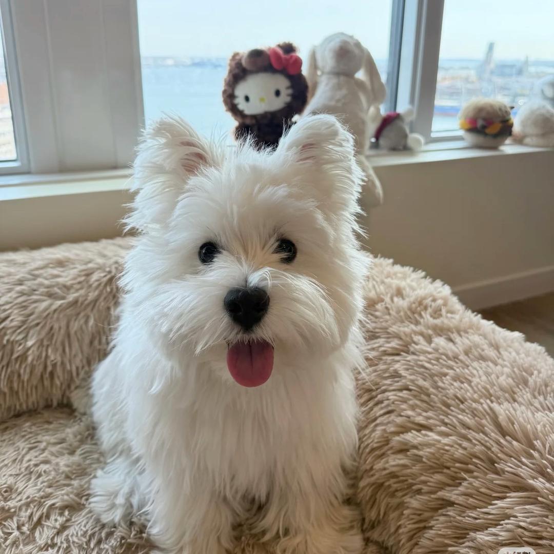 幸福就大口干饭