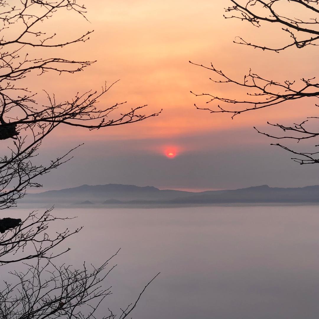 安排(｡･ω･｡)ﾉ