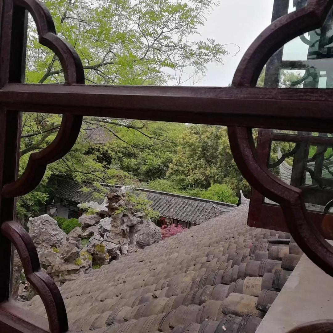 皎皎
