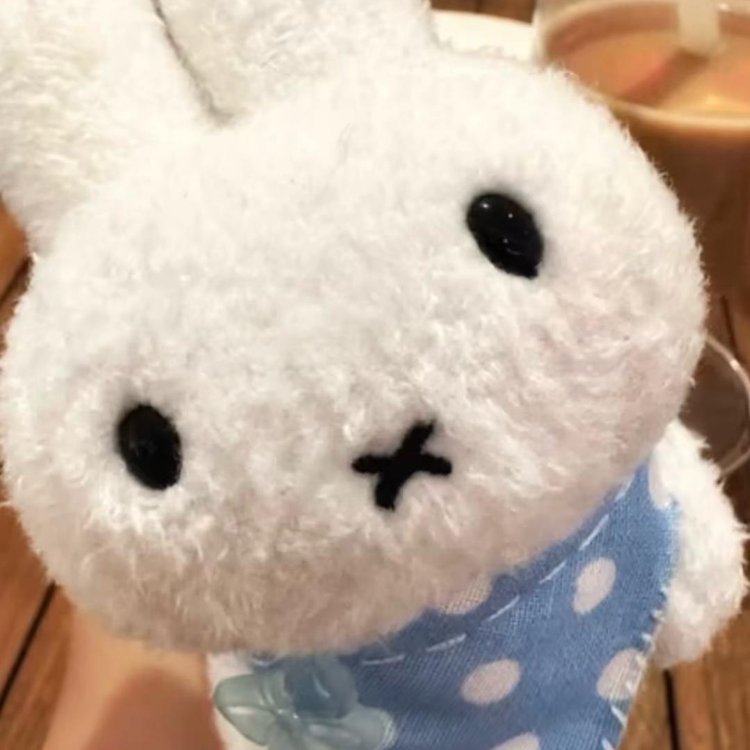 一条鱼.