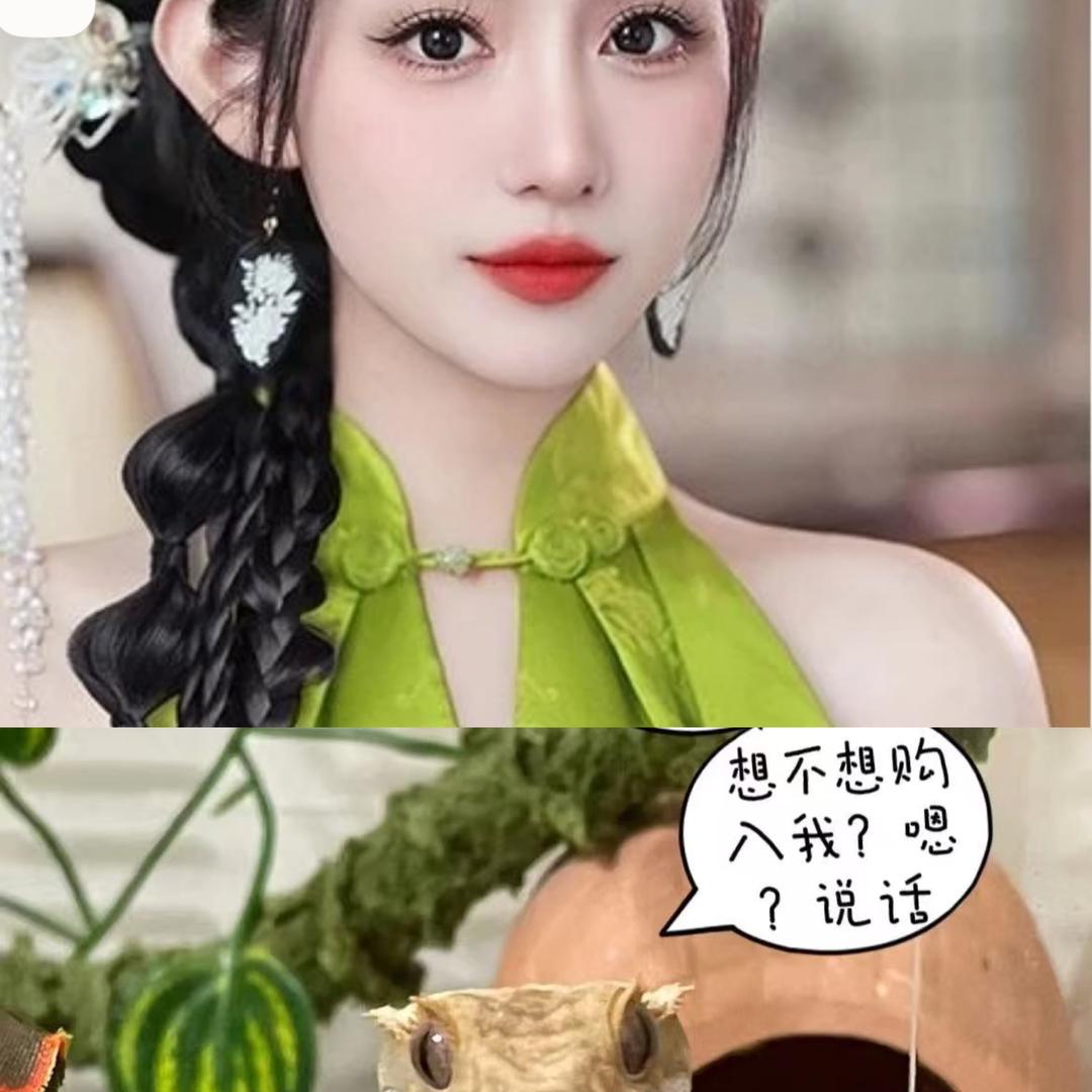 小马姐姐爱养爬