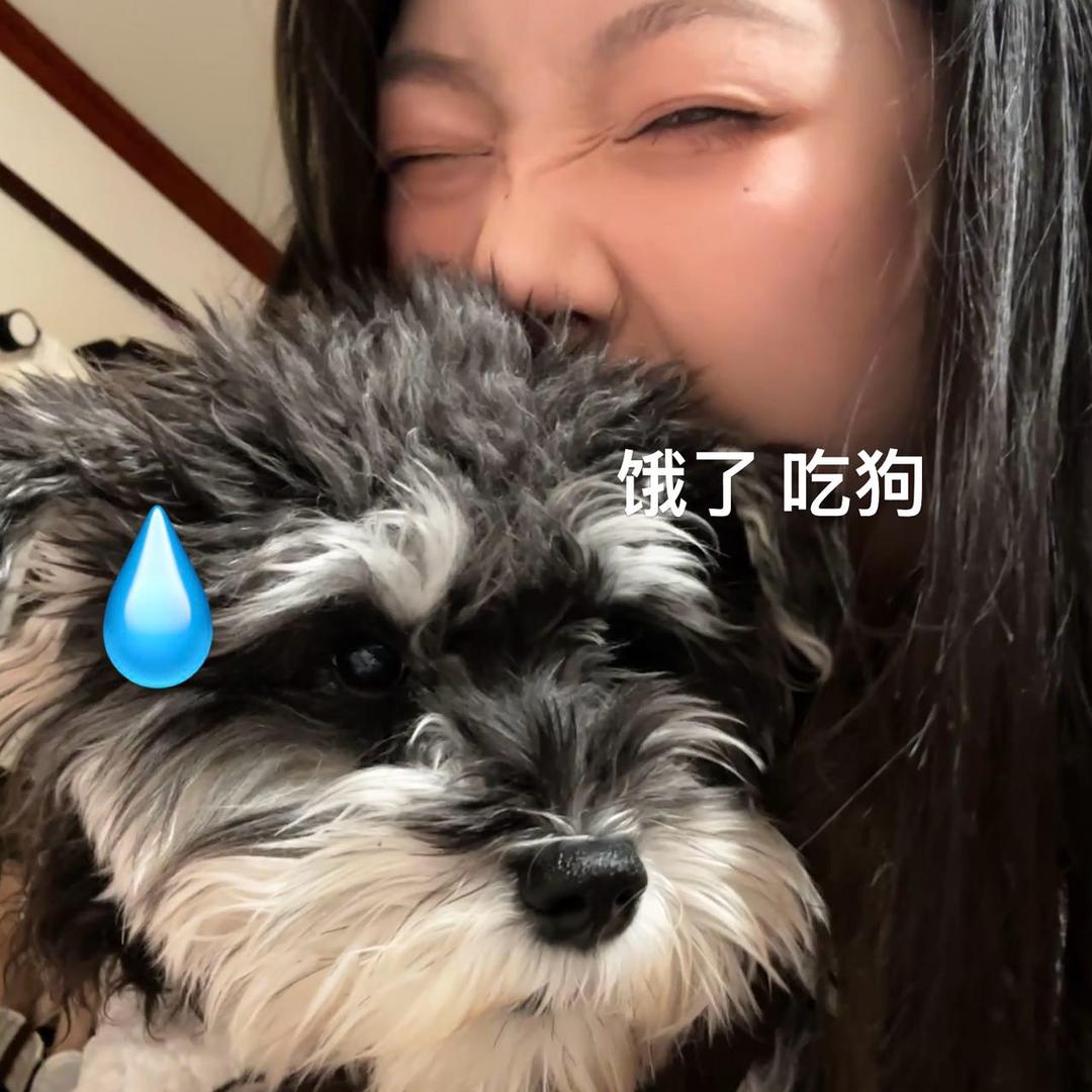 阿狗是谁