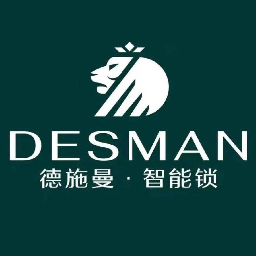延安DSM智能锁