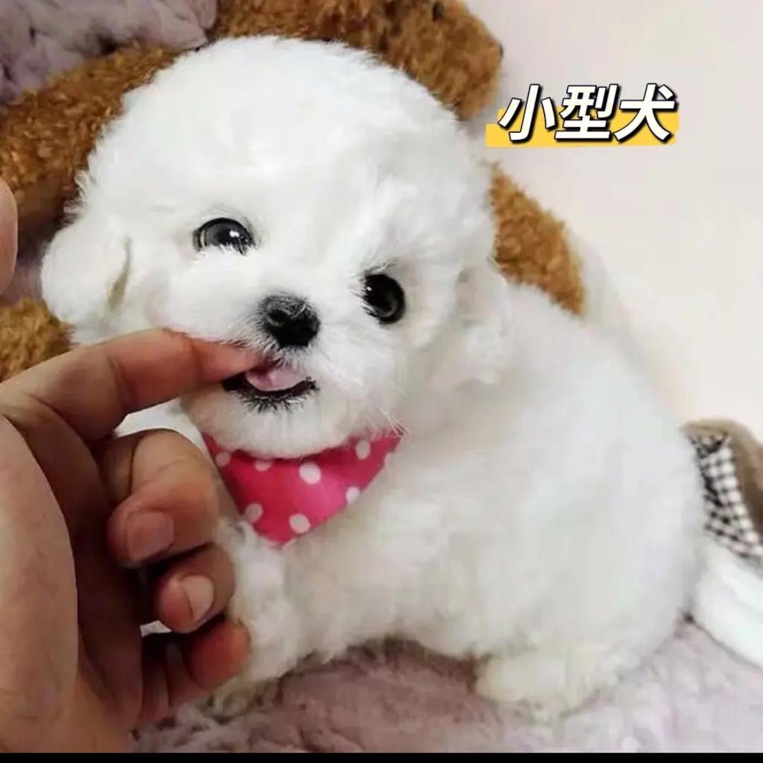 莫要如何下，中