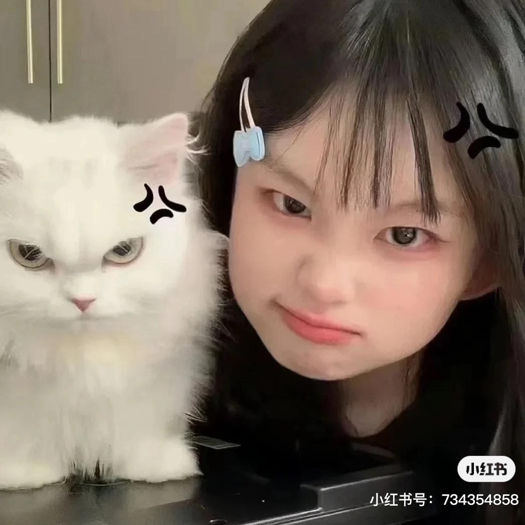 我的女人你不许女士