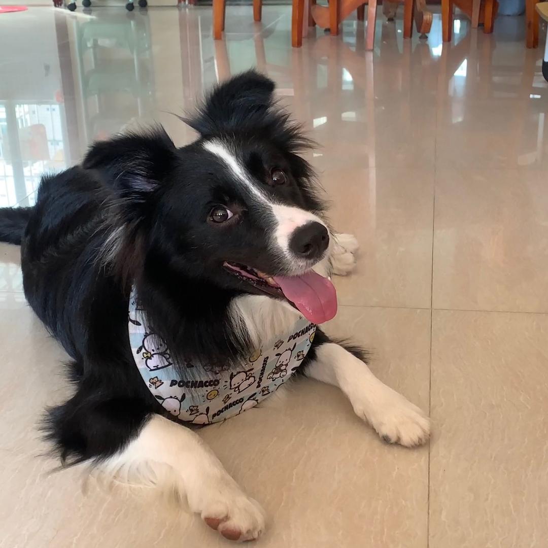 溜溜不是大王