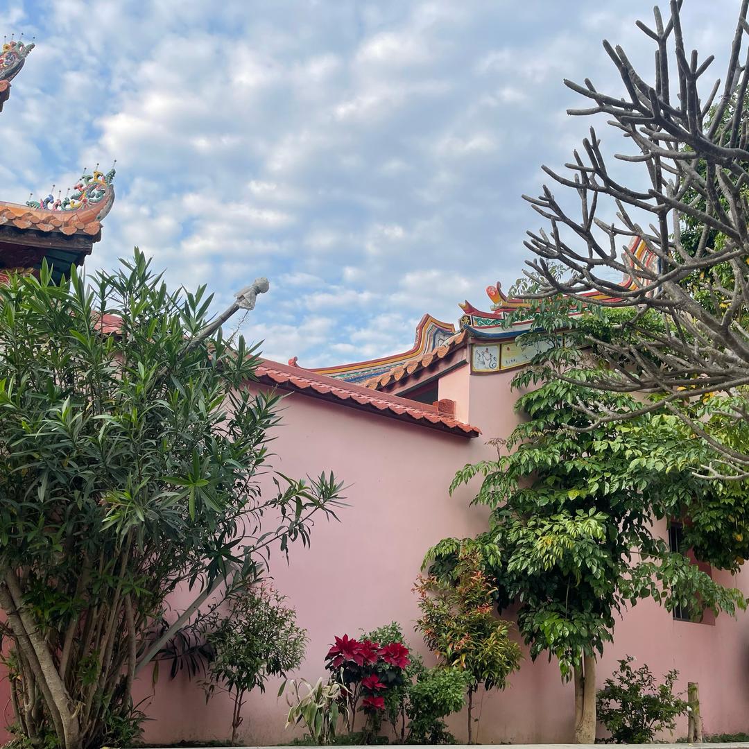 💕᭄杨ꦿ🌿