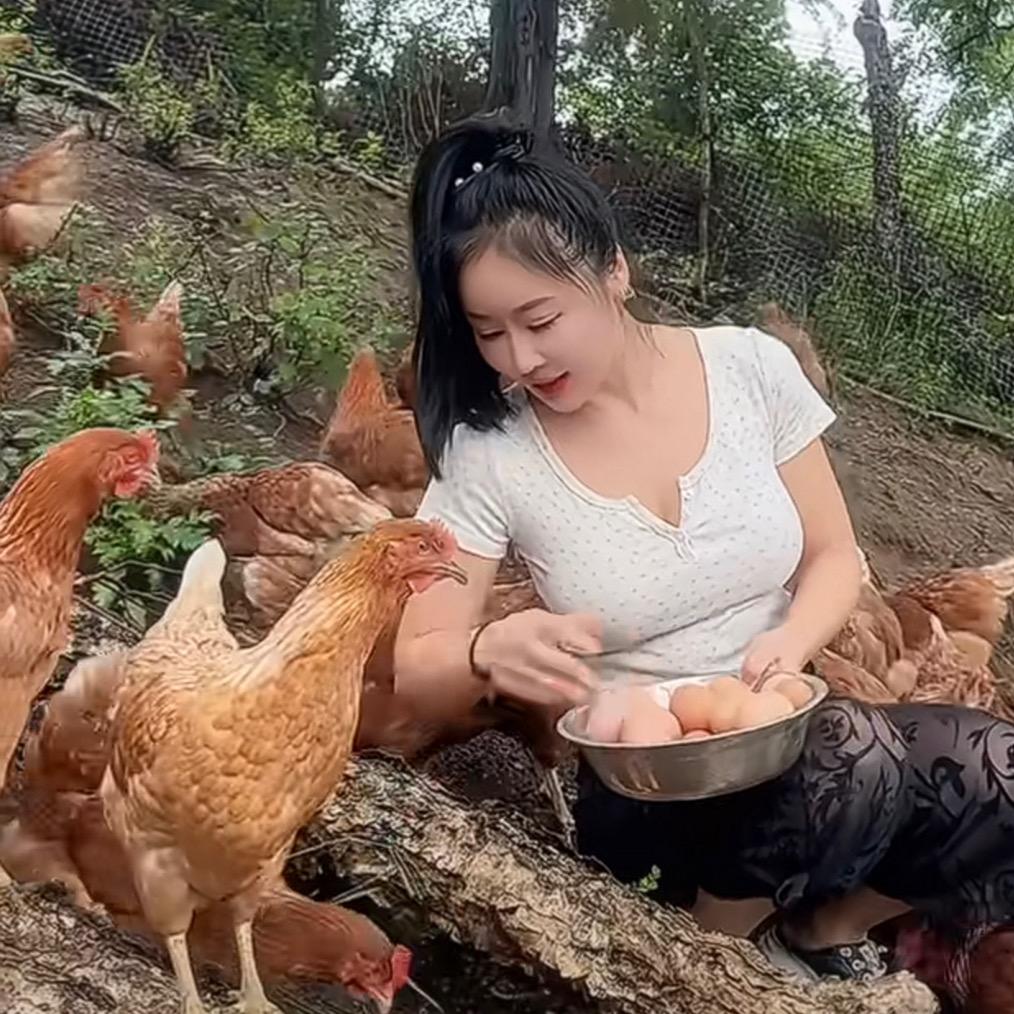 农村慧养猪