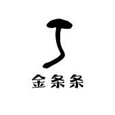 金条条百货店