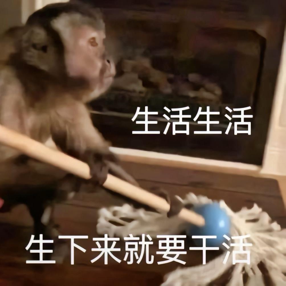洋大咩🐏