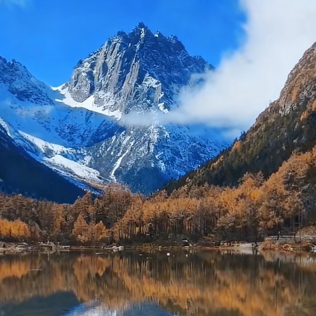 💫 闻声观雅✨