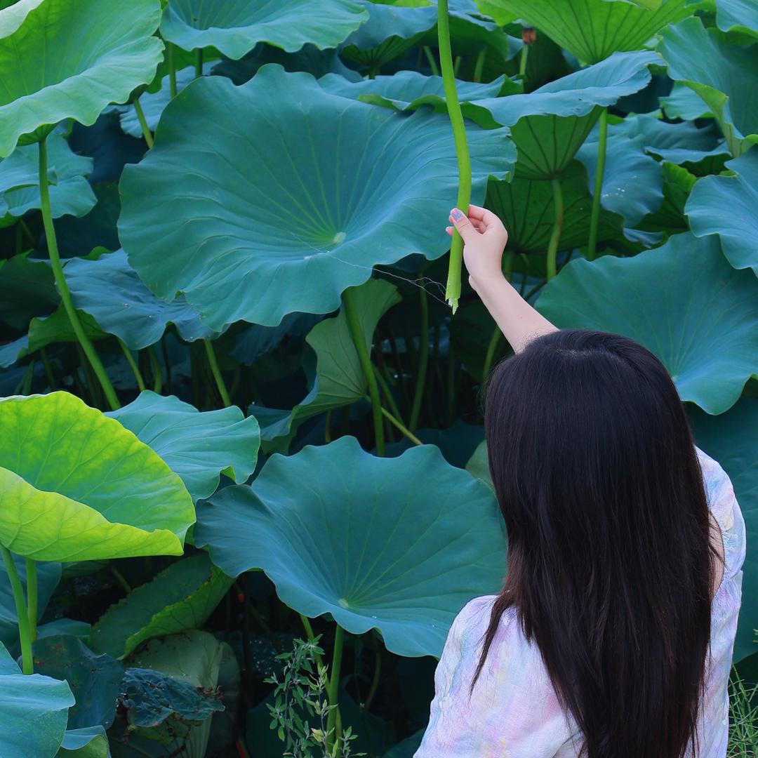 落日慢游