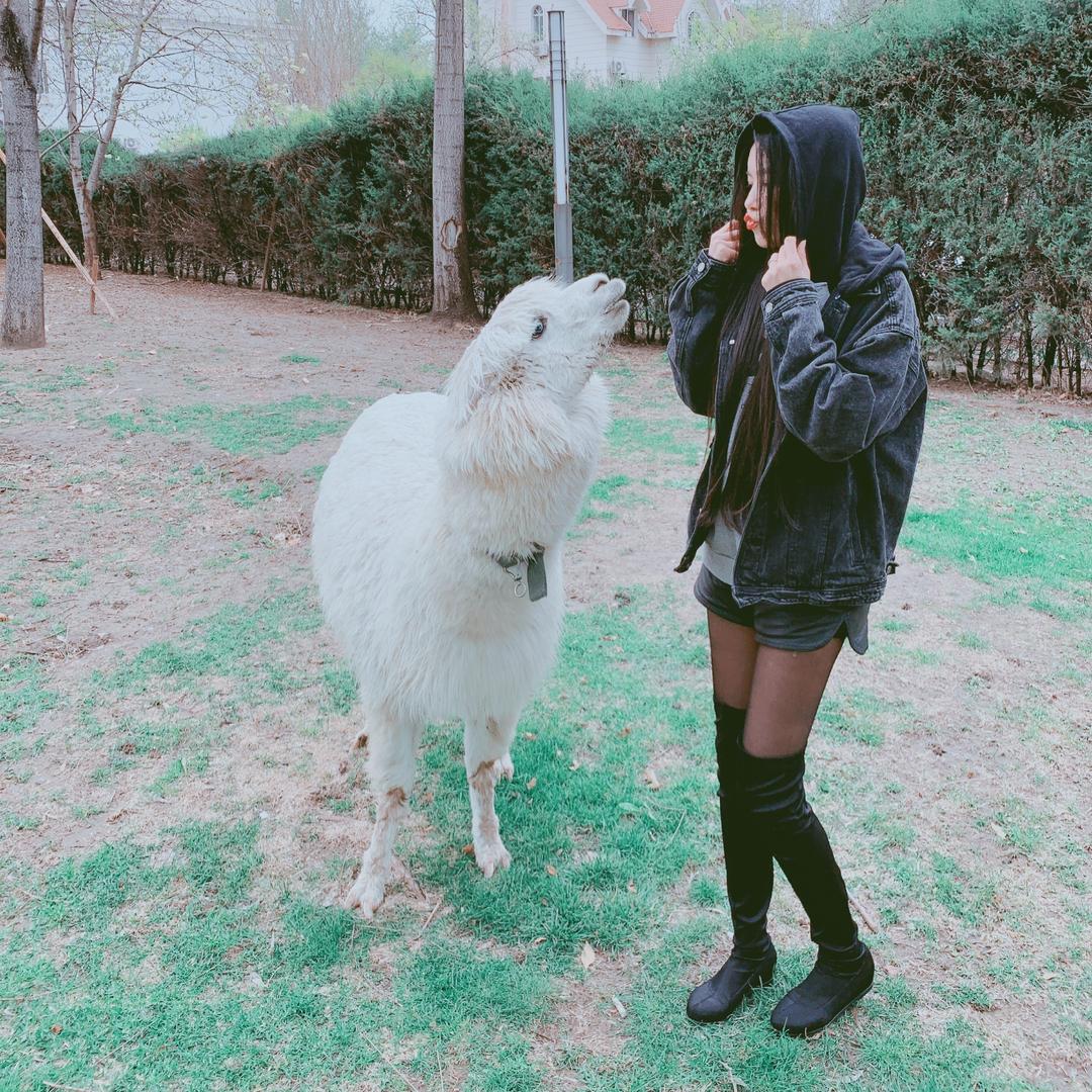 王中王不会了