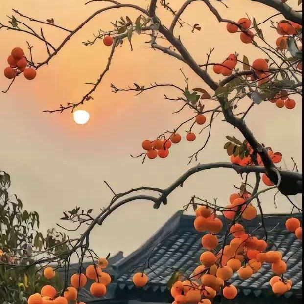灵木好物清仓