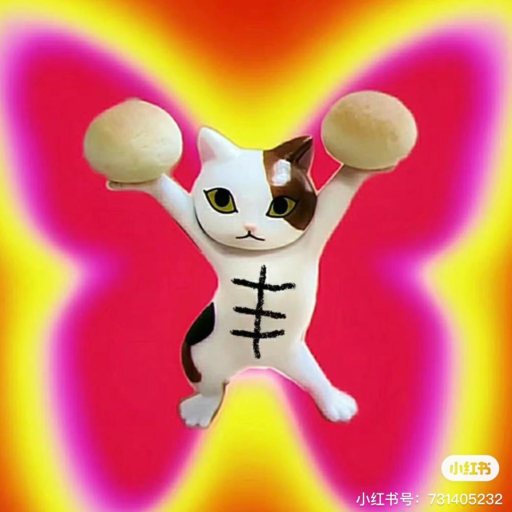 索尔特