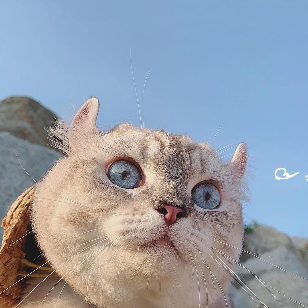 紫萱🎈
