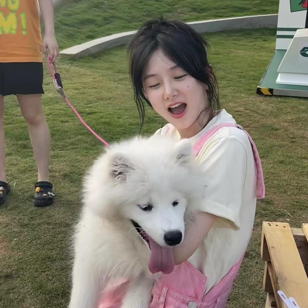 会飞的恐龙