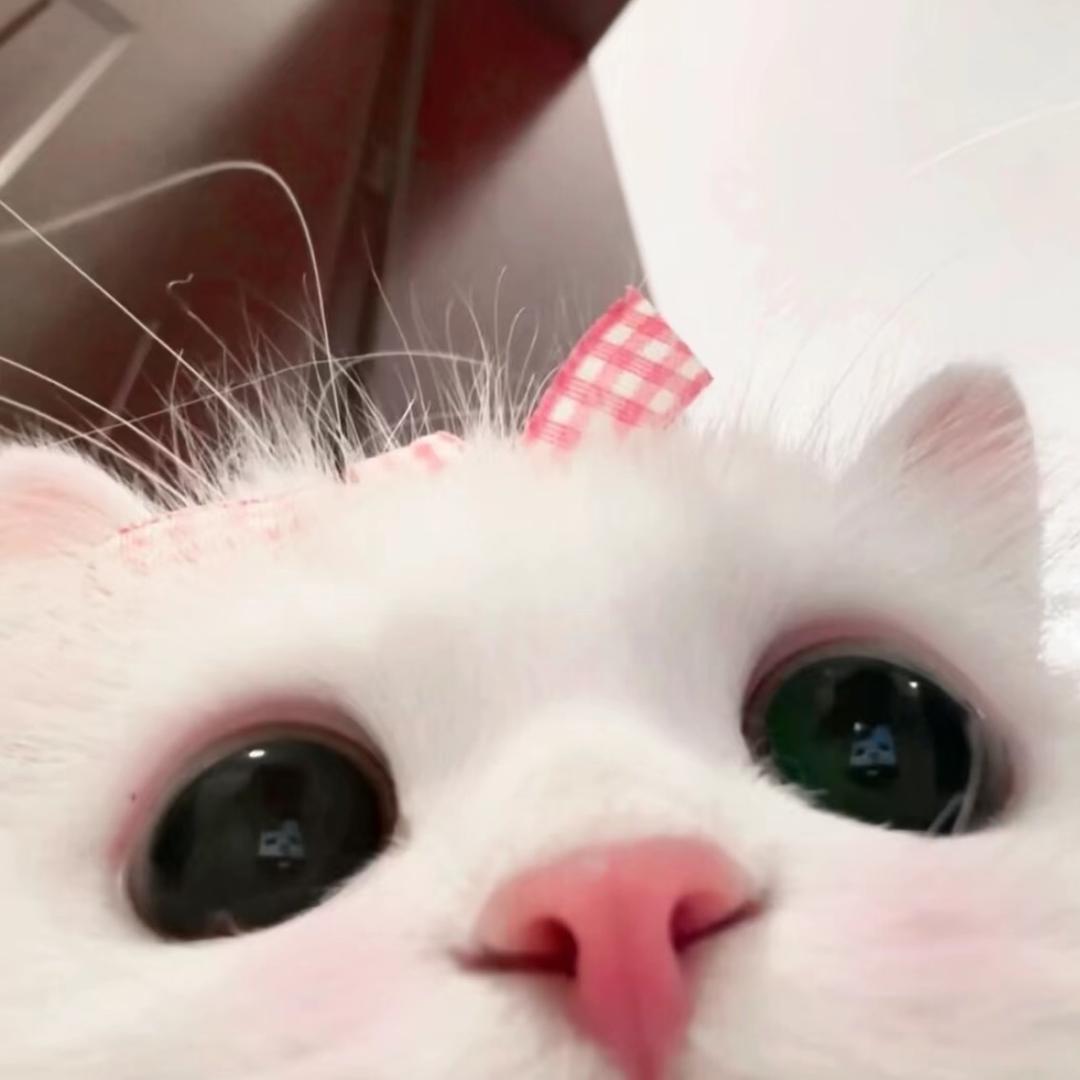 5u^