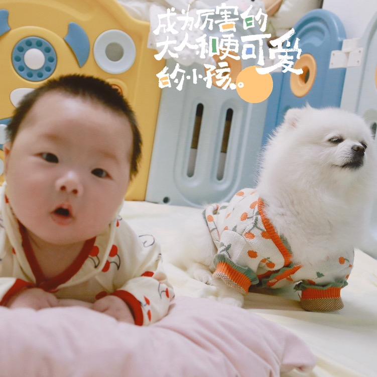 核桃的糖