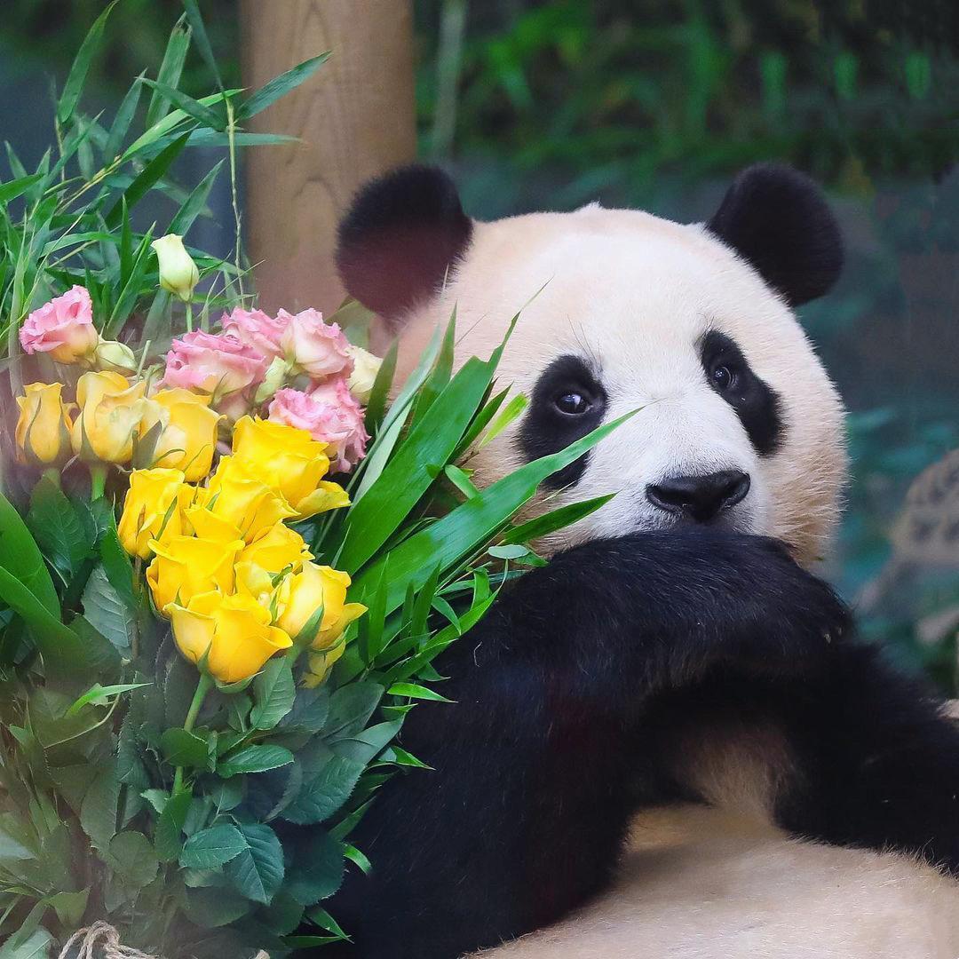 过期的糖