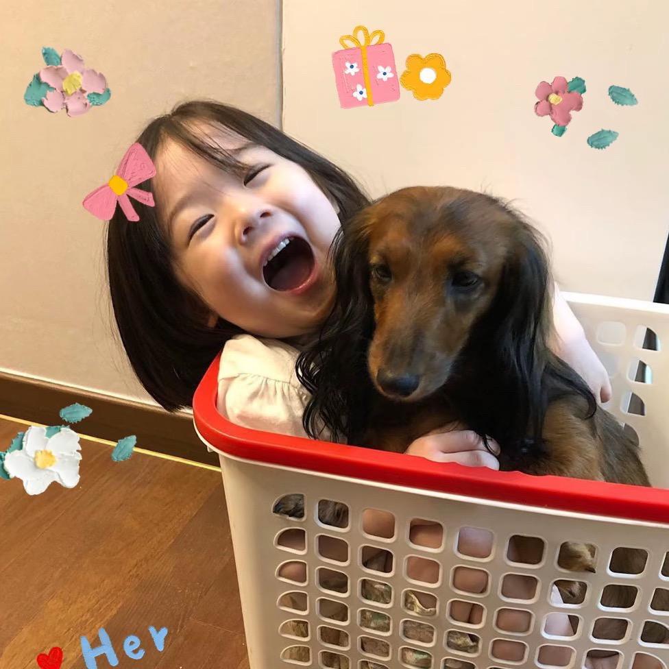 不吃香菜的孩儿