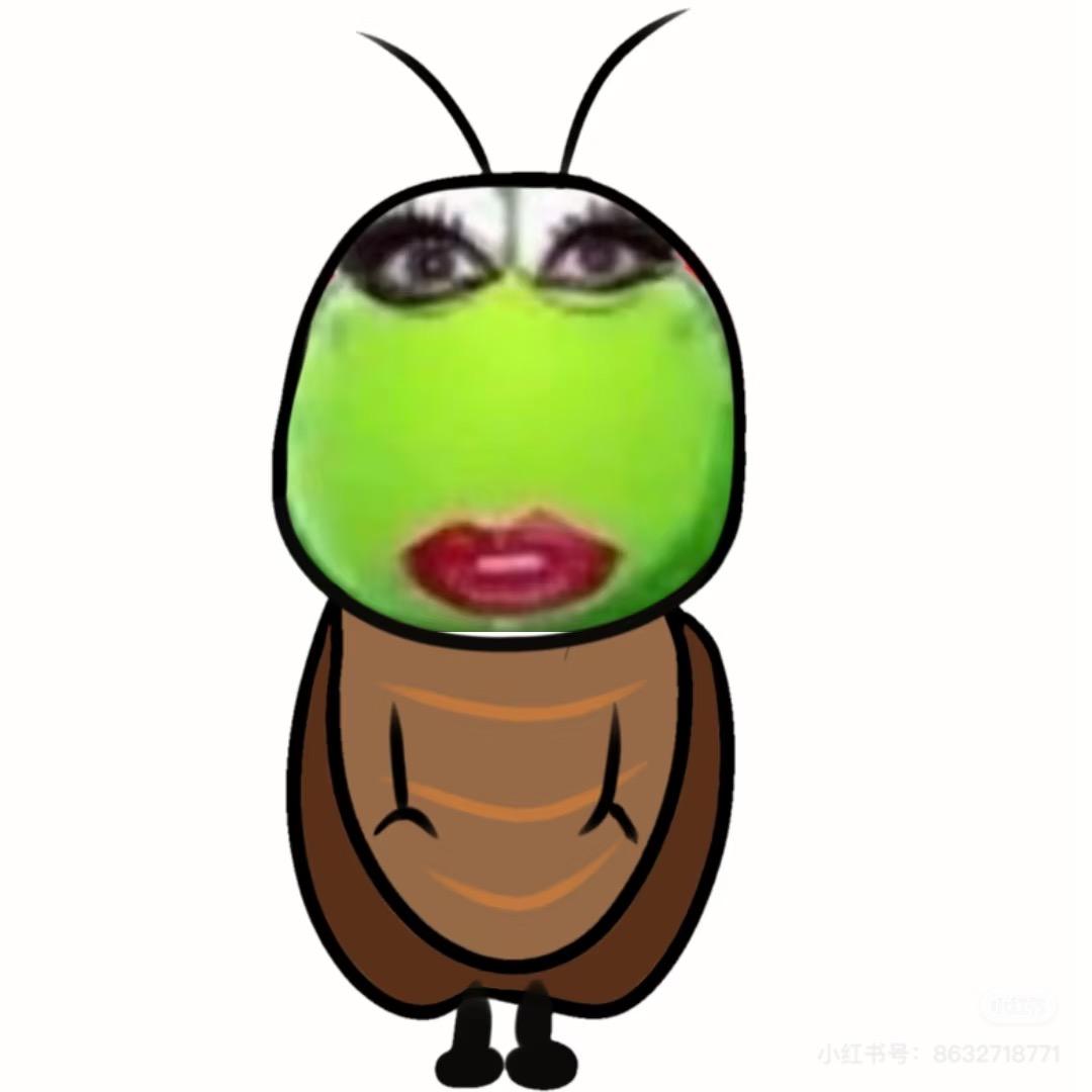 我是冰块姐🧊