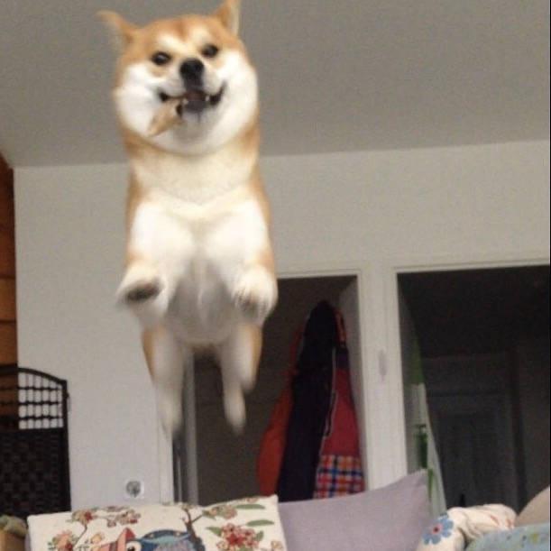 一二一