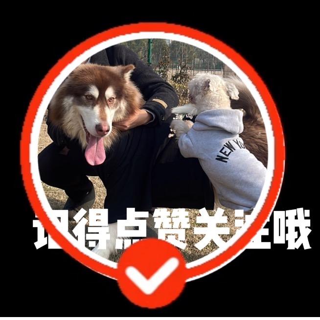 双鱼座♓️