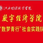 数梦青行