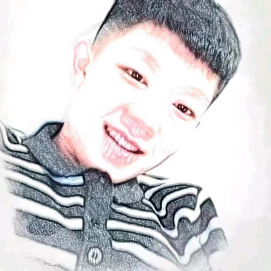 热情小狗
