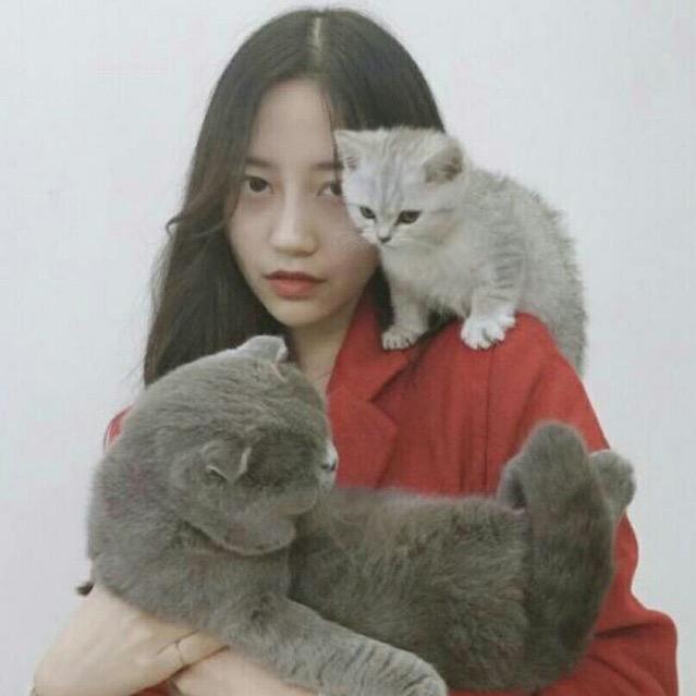 王嗯好