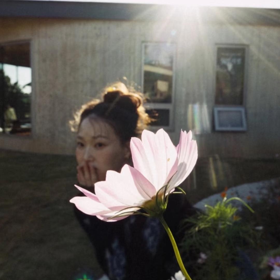 菡子
