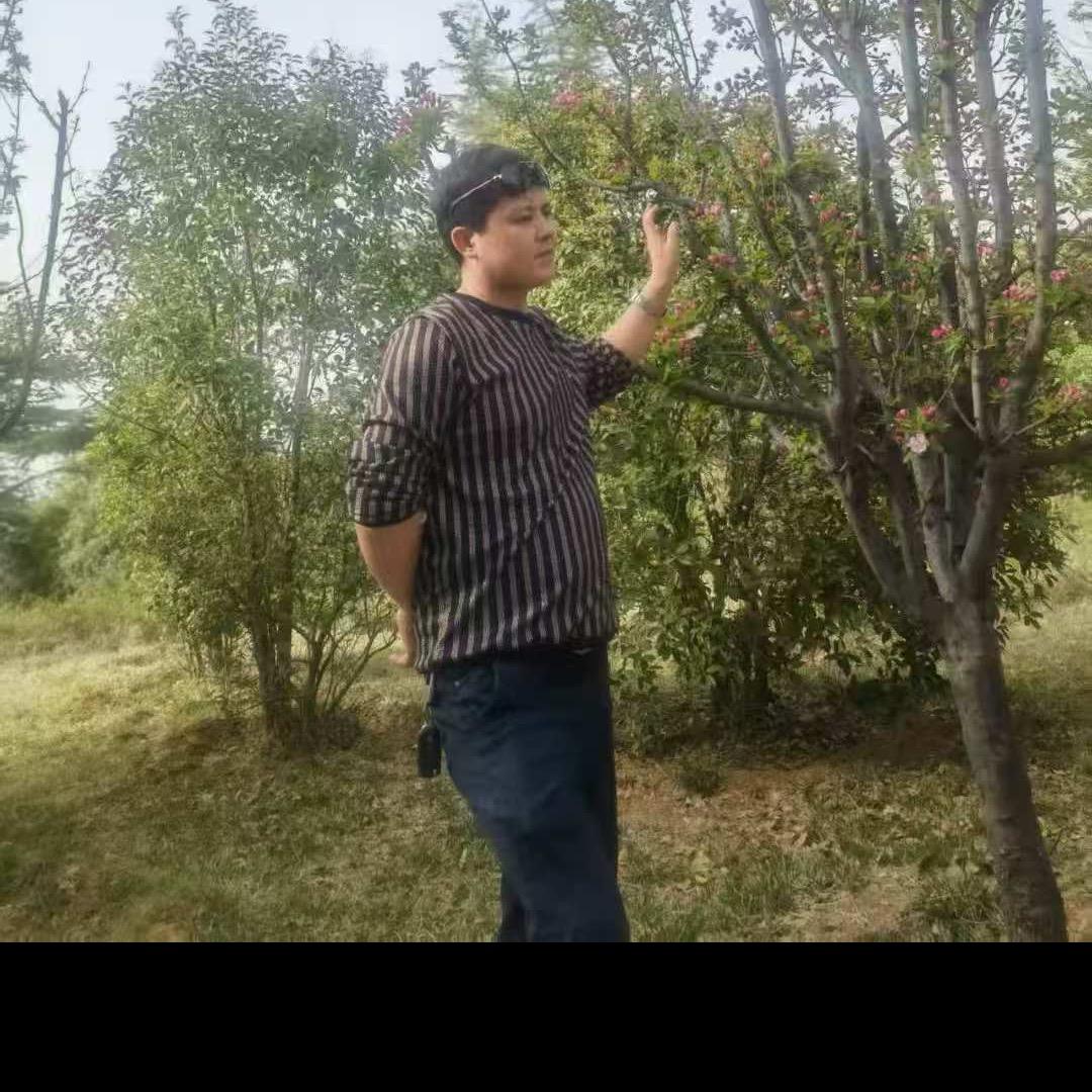 西部九鼎牛肉面