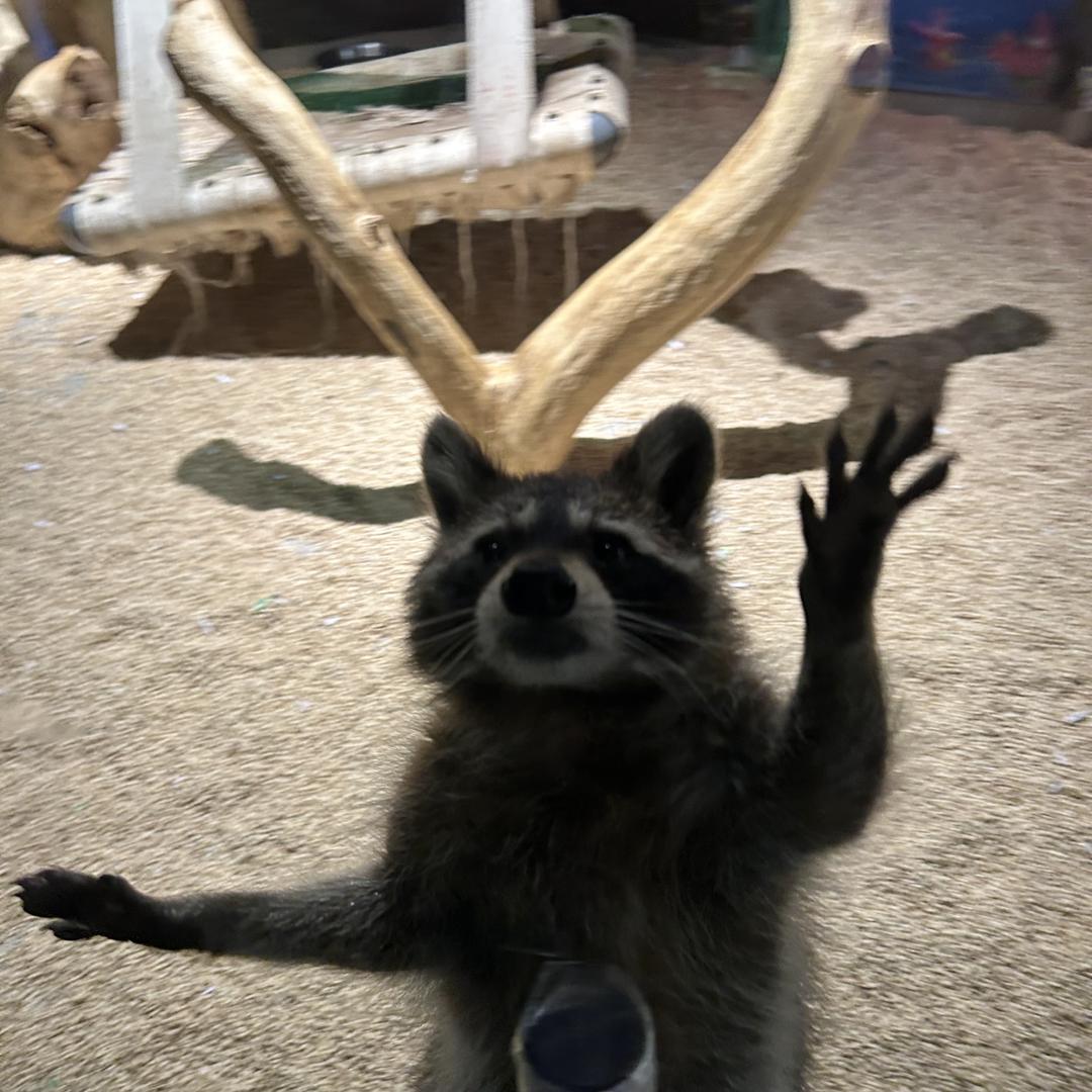 一亩弄特百货店