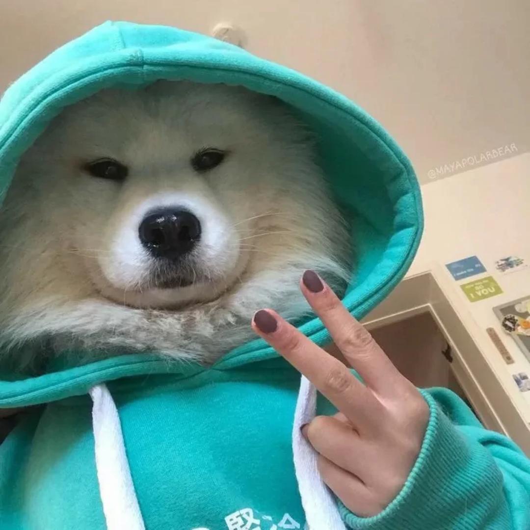 吴蕊🥇
