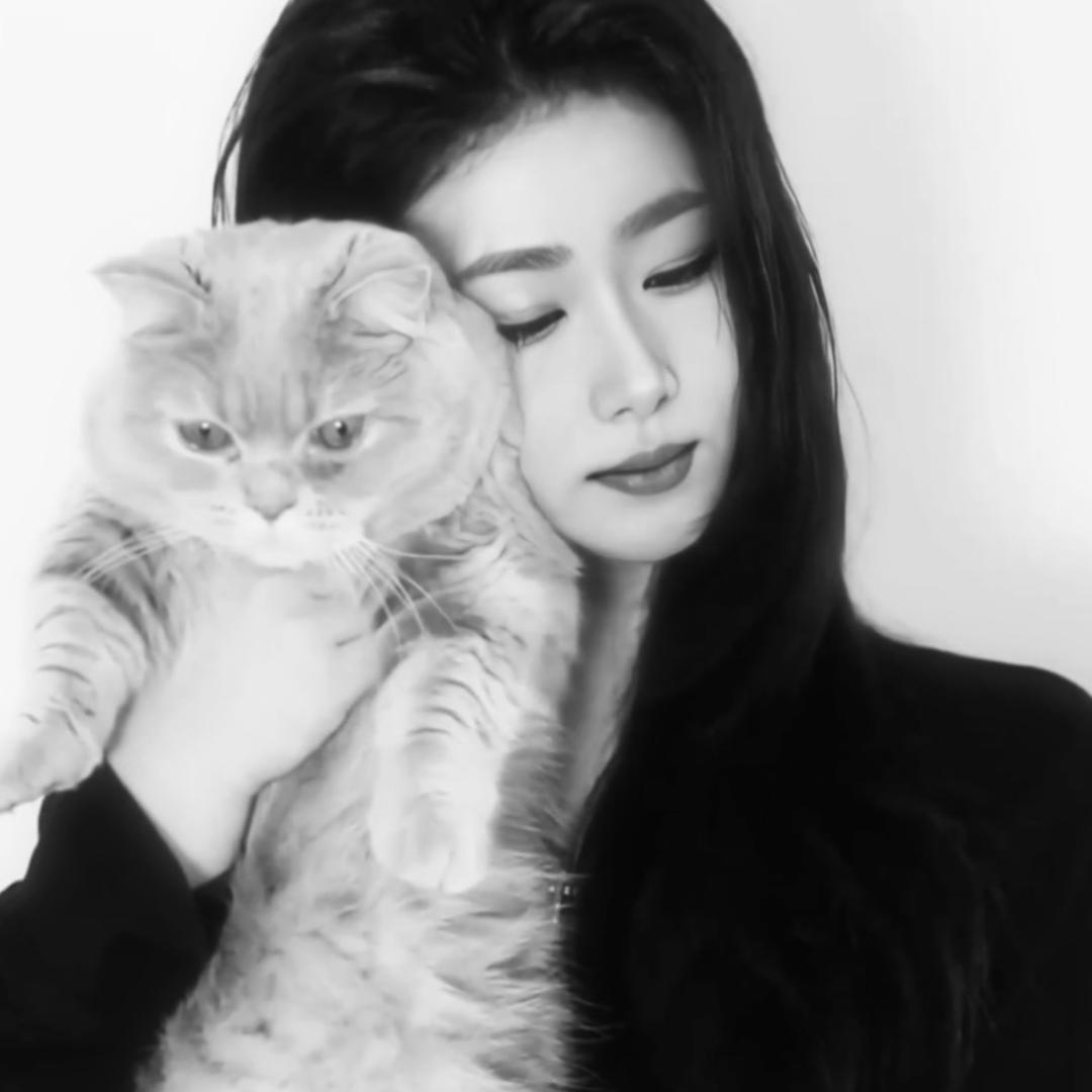 -王