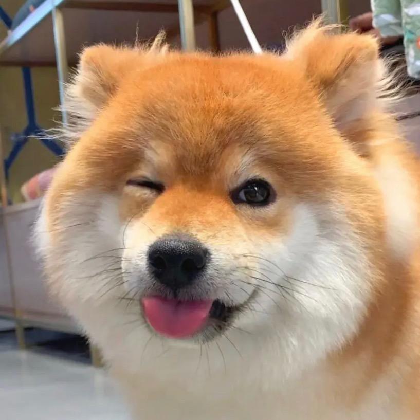 乔治学长