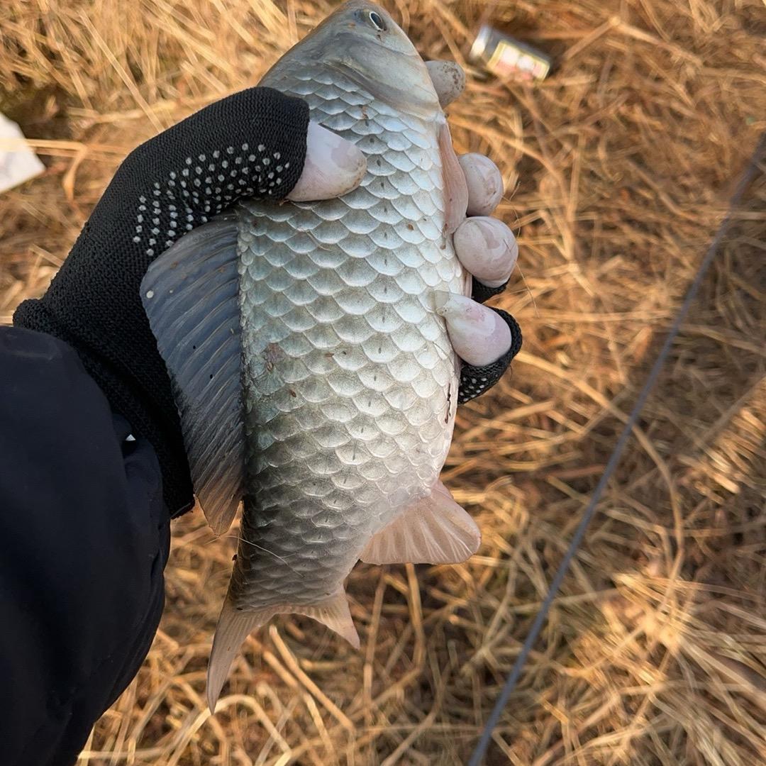 🔱心怀梦想，脚踏实地